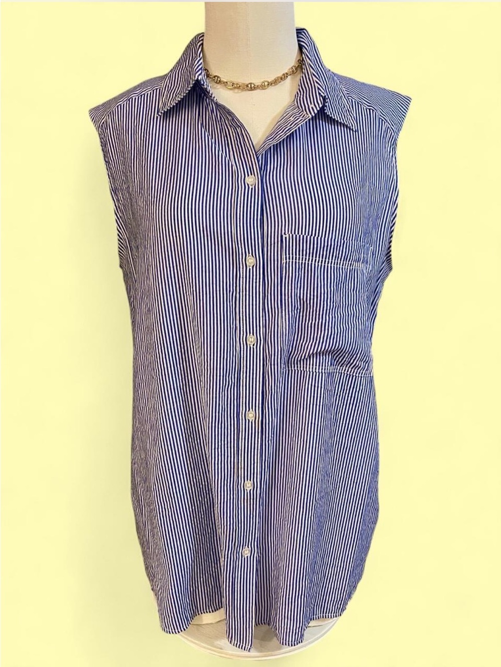 Navy and White Striped Sleeveless Button-Down Shirt